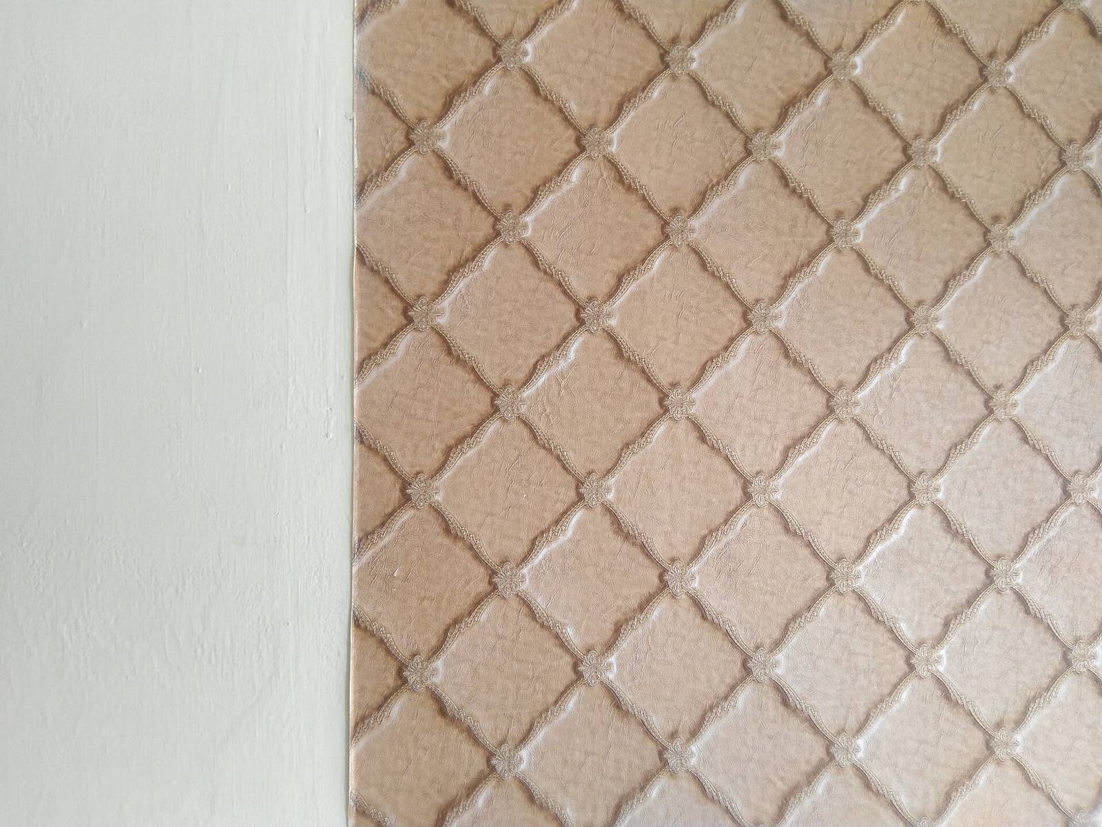 壁紙（仮の写真）